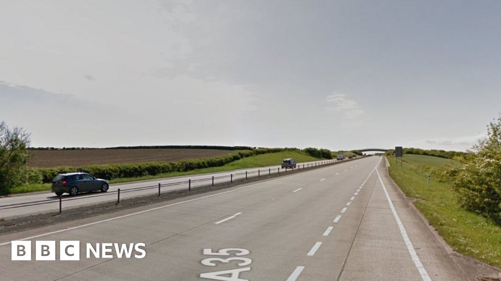 Five injured after car crashes into tree near Axminster 