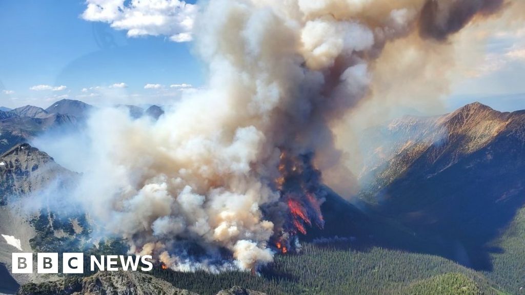Опустошителните горски пожари стимулират нови системи за откриване