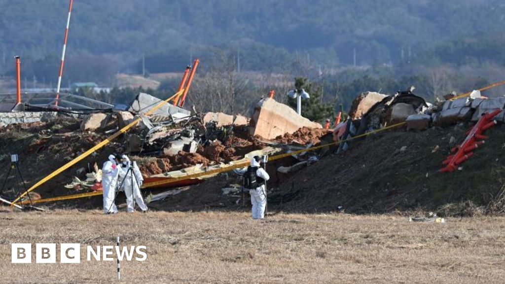 Jeju Air: Data extracted from black box, says South Korea - BBC News