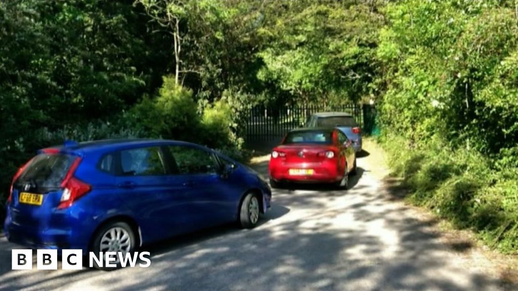 Coronavirus Garden centres reopening 'absolutely fabulous' BBC News