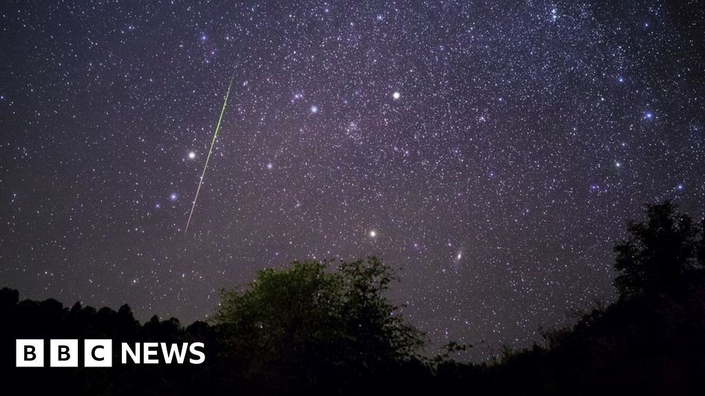 Leonid meteor shower: When, where and how to catch a glimpse of the shooting stars