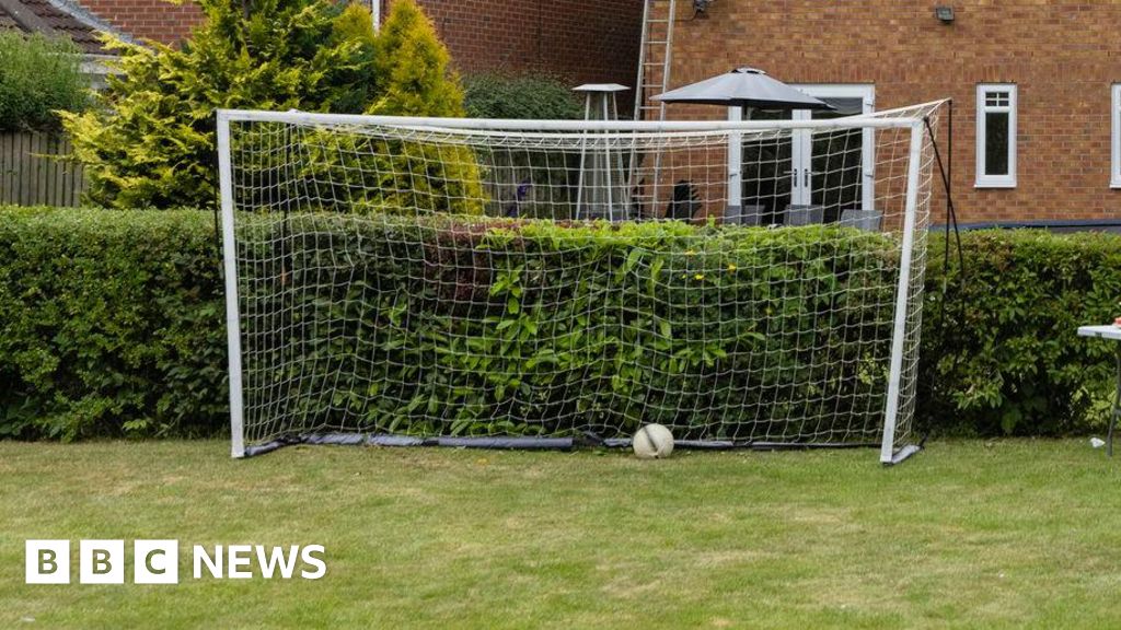 RSPCA warning after deer caught in football net in Cheltenham garden -  Gloucestershire Live