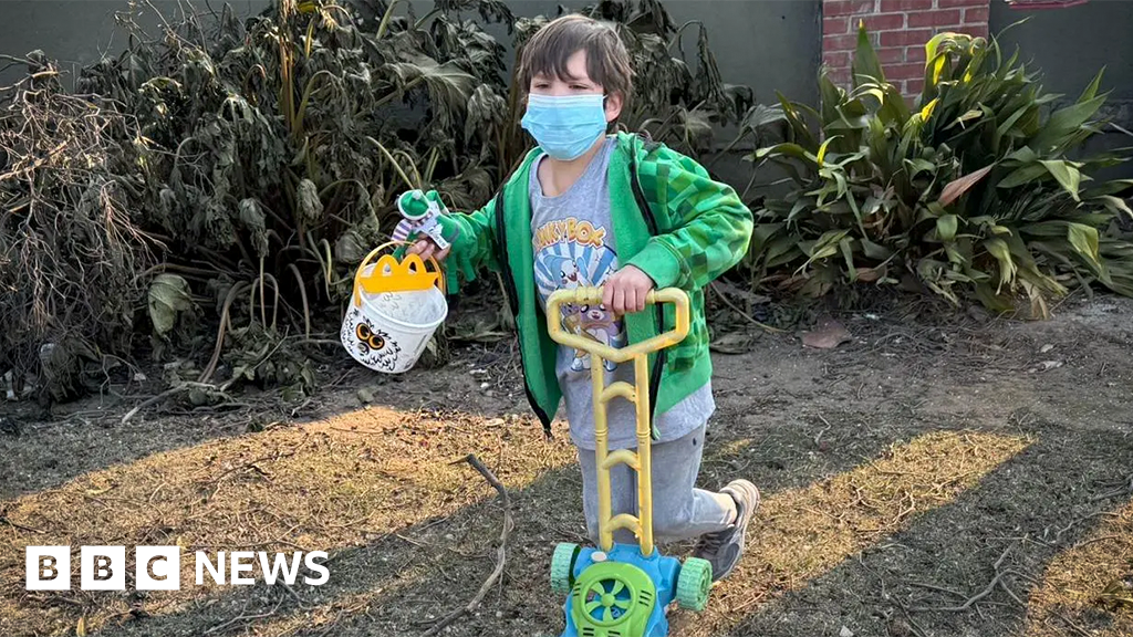 Pearls, a power saw and a lawnmower toy: What LA fire survivors went back for