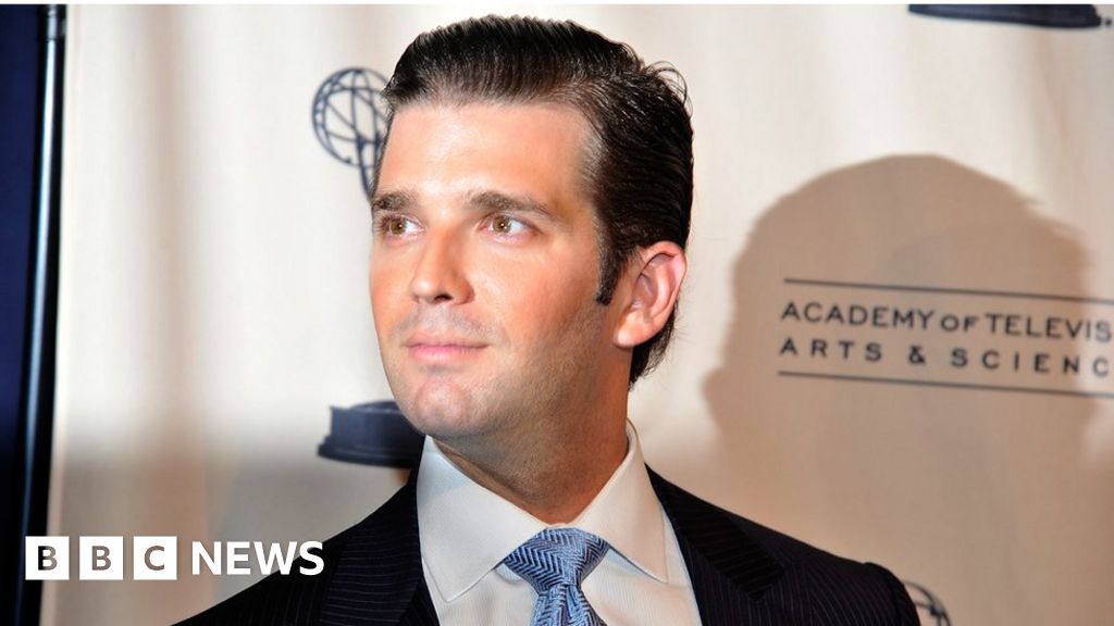 Donald Trump Jr Met Russian Lawyer Before Election