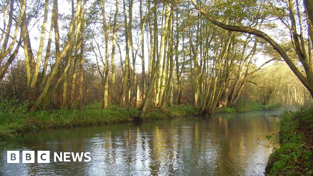 Labour and Lib Dems step up campaigns on sewage dumping