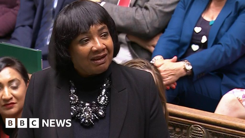 Diane Abbott: Labour MP calls for border poll