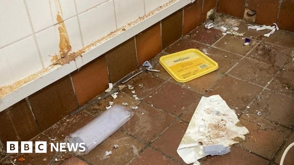 Dunstable care home with mouse infestation fined £25,000