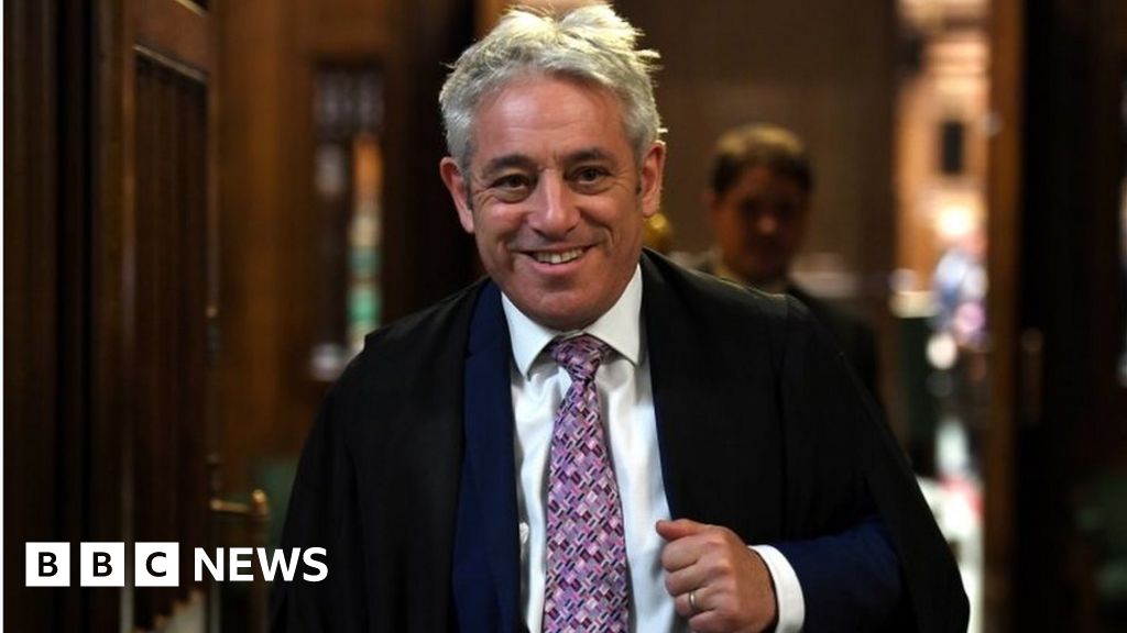 The former Speaker John Bercow claimed £1,000 in taxi fare