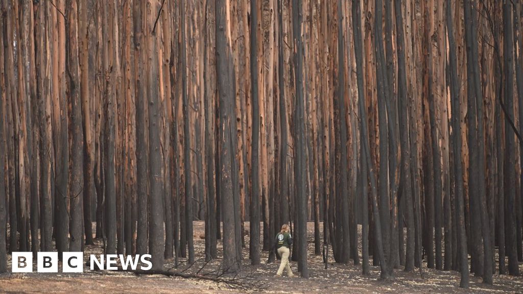 Australia fires: 'Apocalypse' comes to Kangaroo Island