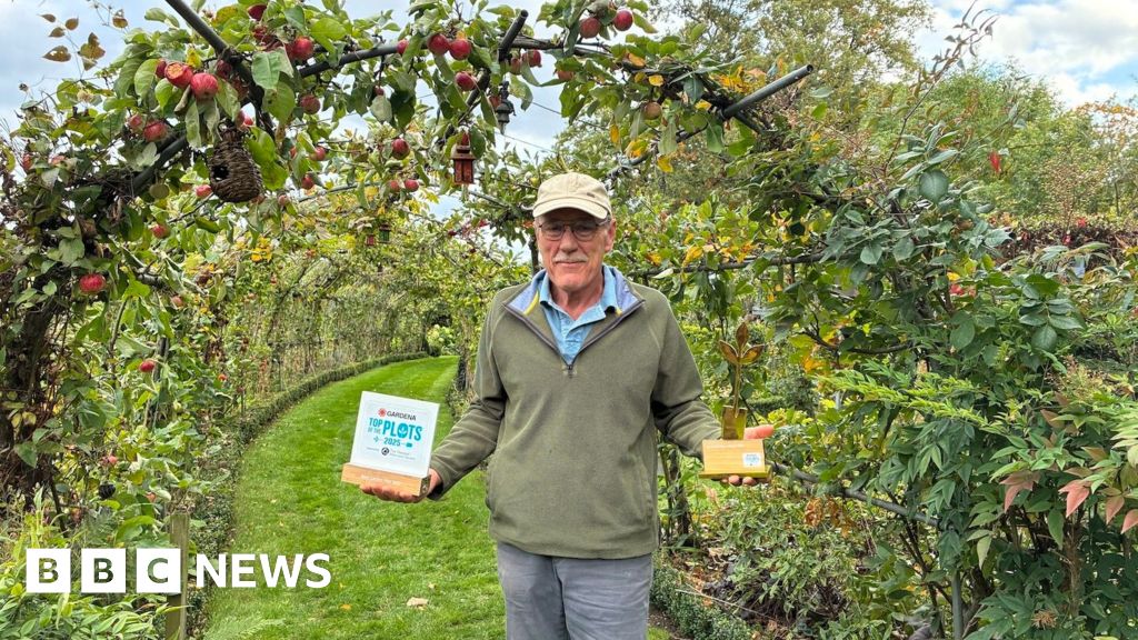 Top of the plots: The 'unique' London allotment