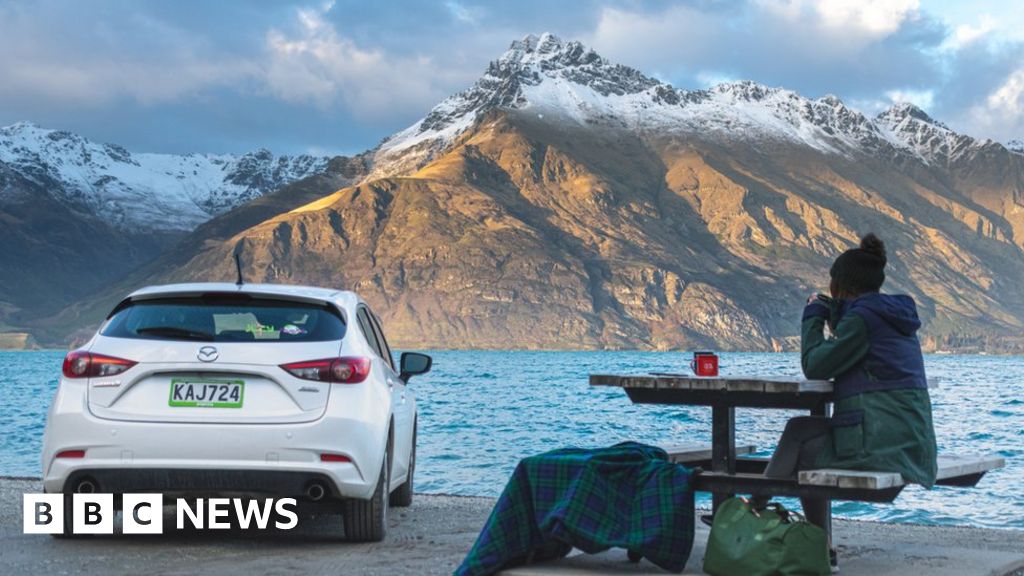 New Zealand coronavirus: Massive car heist under cover of lockdown - BBC Ne