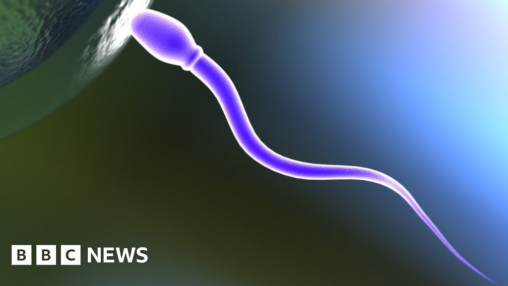 Male contraceptive pill prototype stops sperm swimming
