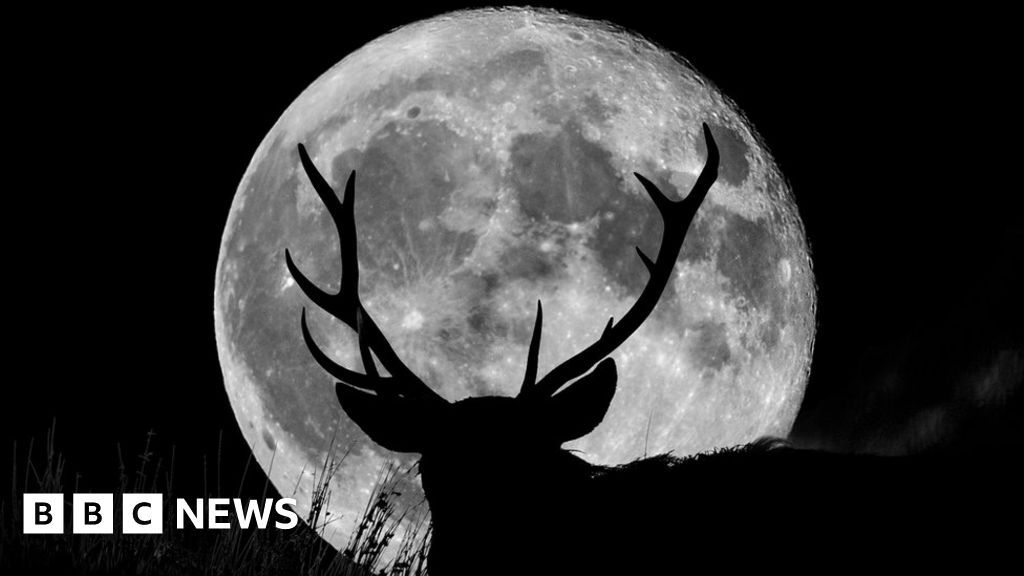 Closest supermoon of the year to appear in sky