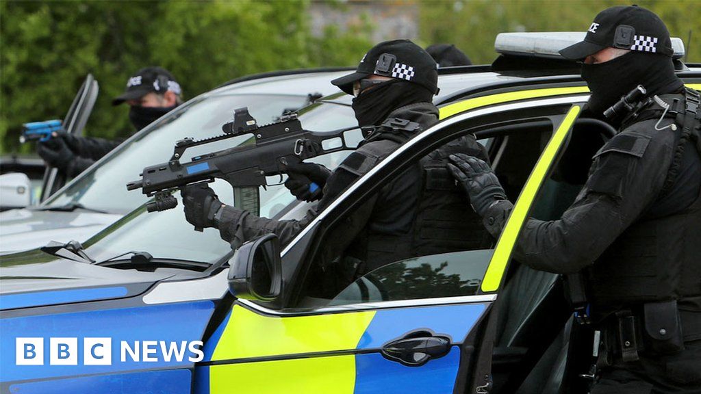 Met Police: Up to 300 armed officers step back as Army on standby