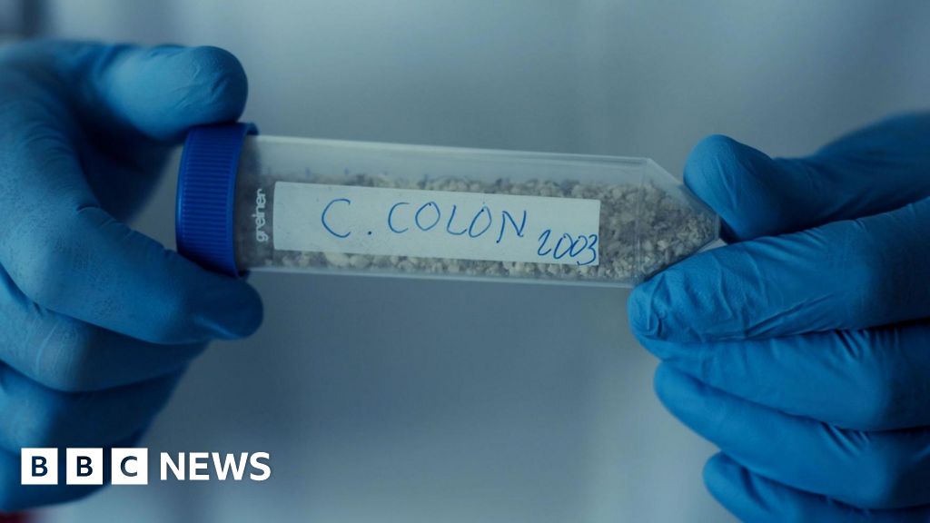 Christopher Columbus's DNA to shed light on his origins