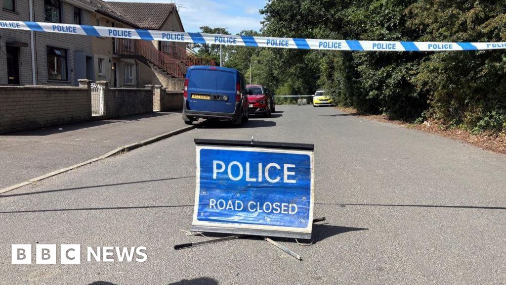 Man arrested for murder of pregnant mother