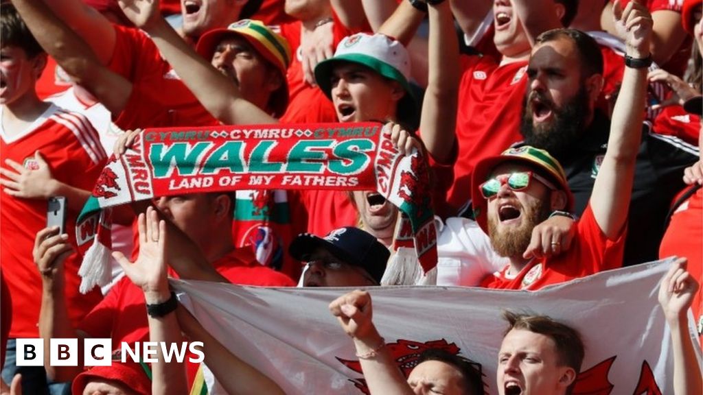 Euro 2016: Fans' joy as Wales reach quarter finals - BBC News