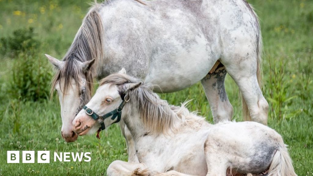 Oxfordshire's Big Picture - BBC News