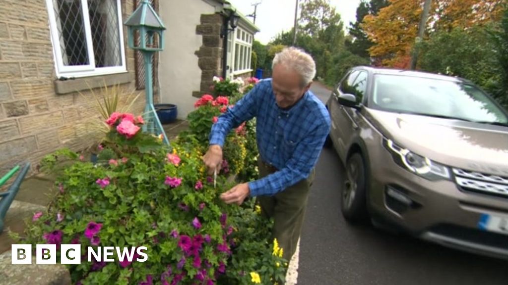 Sheffield Council Says Grass Verge Garden Must Be Removed Bbc News 8465