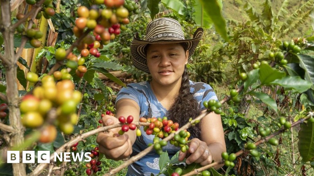 Colombia ex-fighters brew up new lives after giving up guns