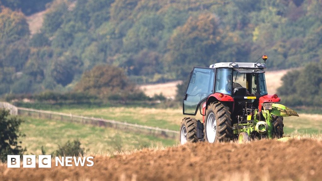 Food strategy for England will back farmers, Boris Johnson says