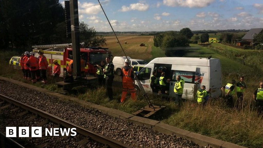 Eleven cows killed in train strike near Peterborough