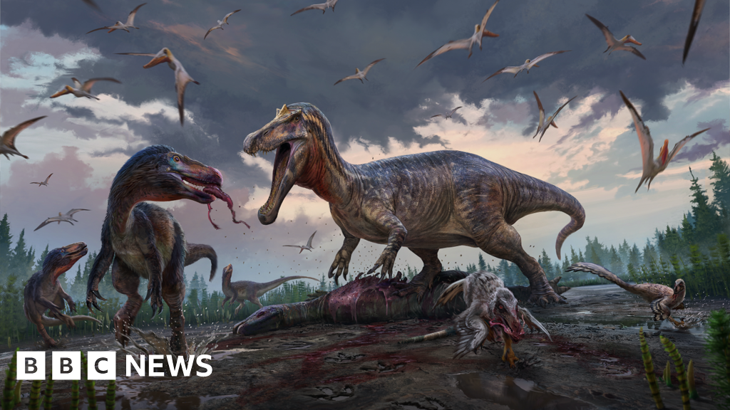 Dinosaur Teeth Found in East Sussex Fossils