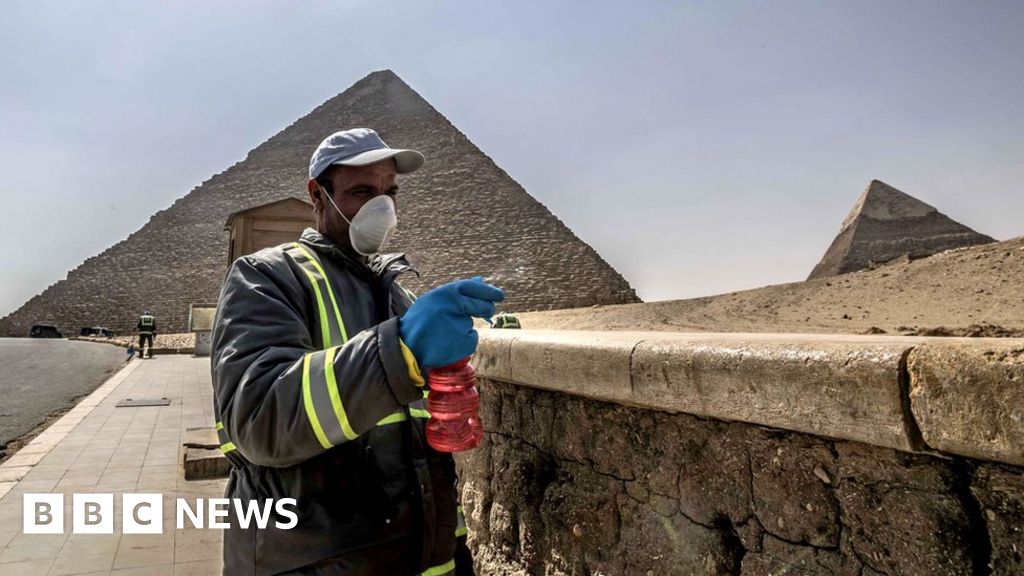 Coronavirus: Egypt PM deplores blocked burial of virus doctor - BBC News