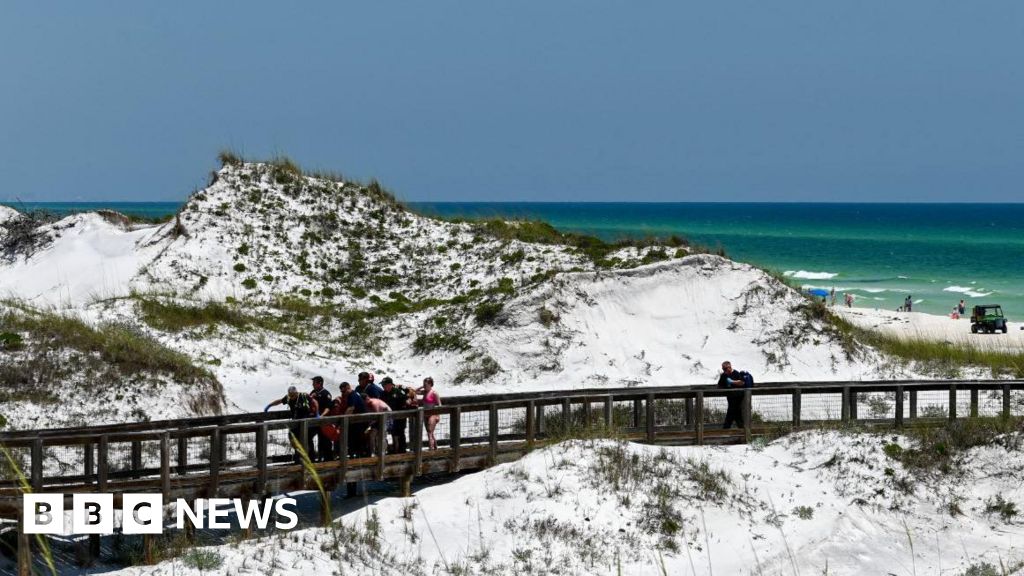 Посетители на плажа в Персийския залив от Флорида беше казано