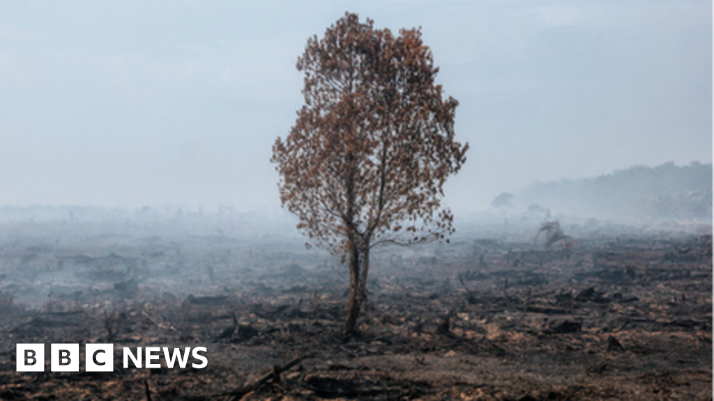 Climate Change: 'No More Excuses' At COP26 Climate Summit - Poor Nations