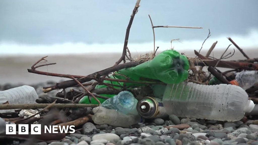 The Black Sea: Can Europe's most polluted sea be saved?