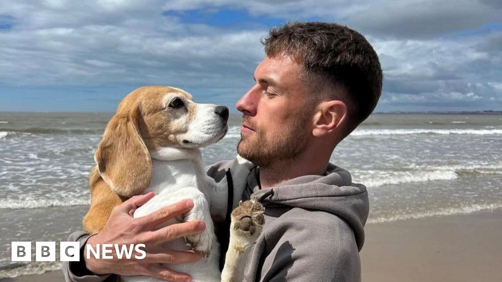 Wales star Ramsey increased reward for missing dog to £15,000