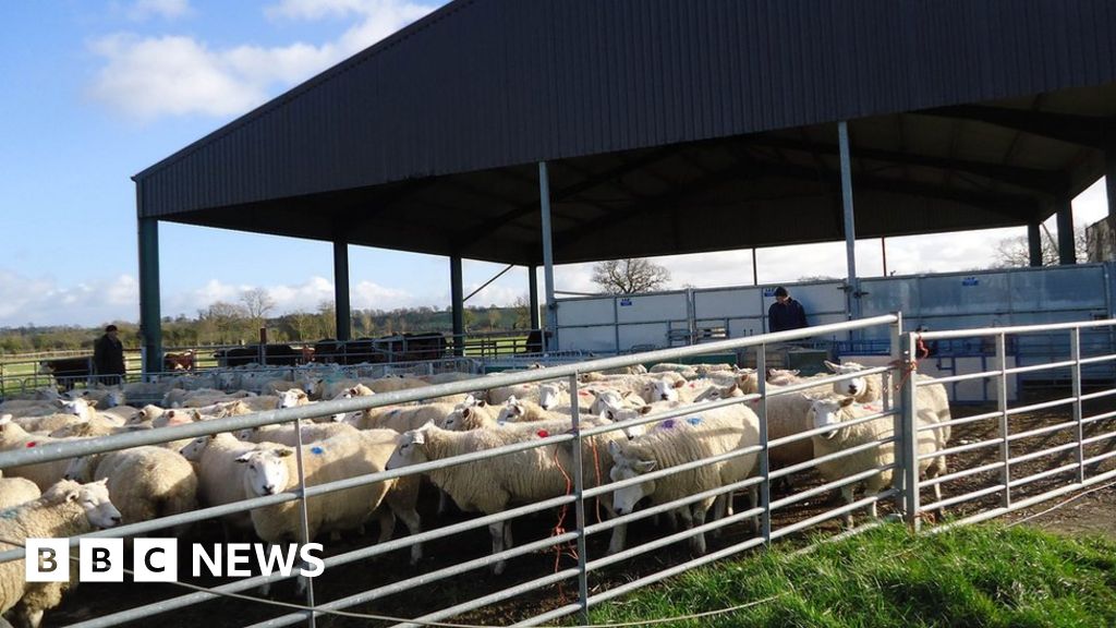 Fans given chance to buy Archers farm BBC News