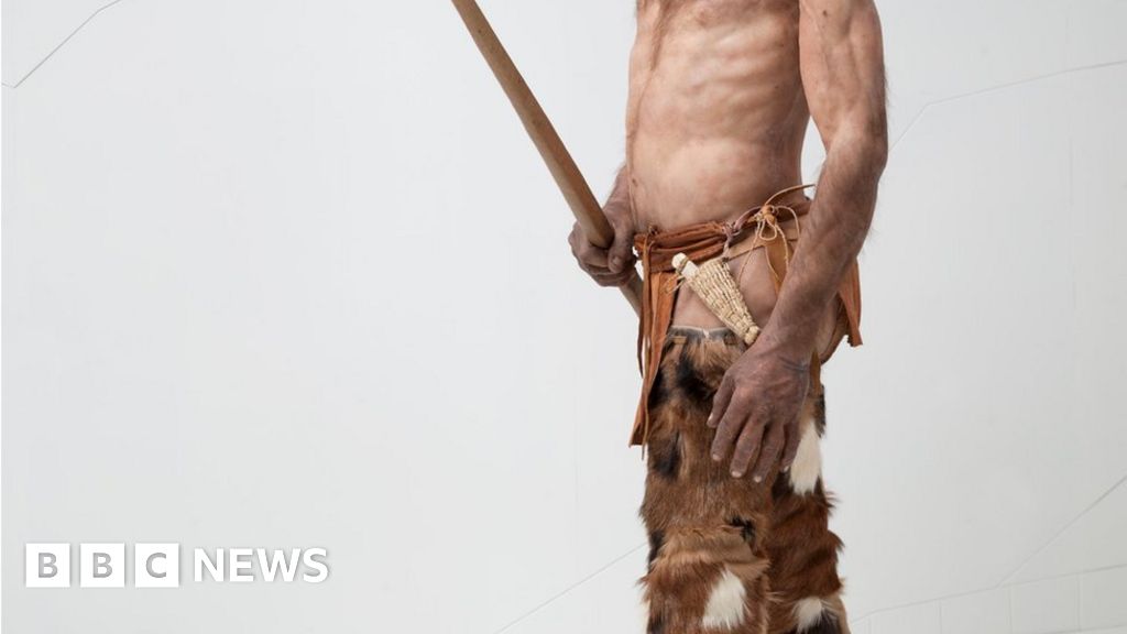 Who killed Oetzi the Iceman? Italy reopens coldest of cases BBC News