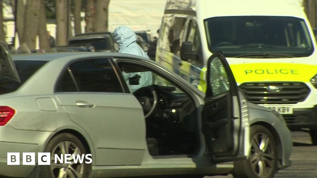 Police open fire after car 'driven at officers' in London - BBC News