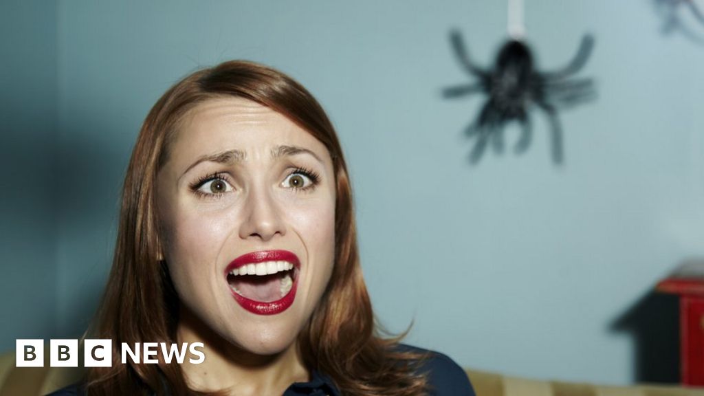 Do people really swallow spiders in their sleep?