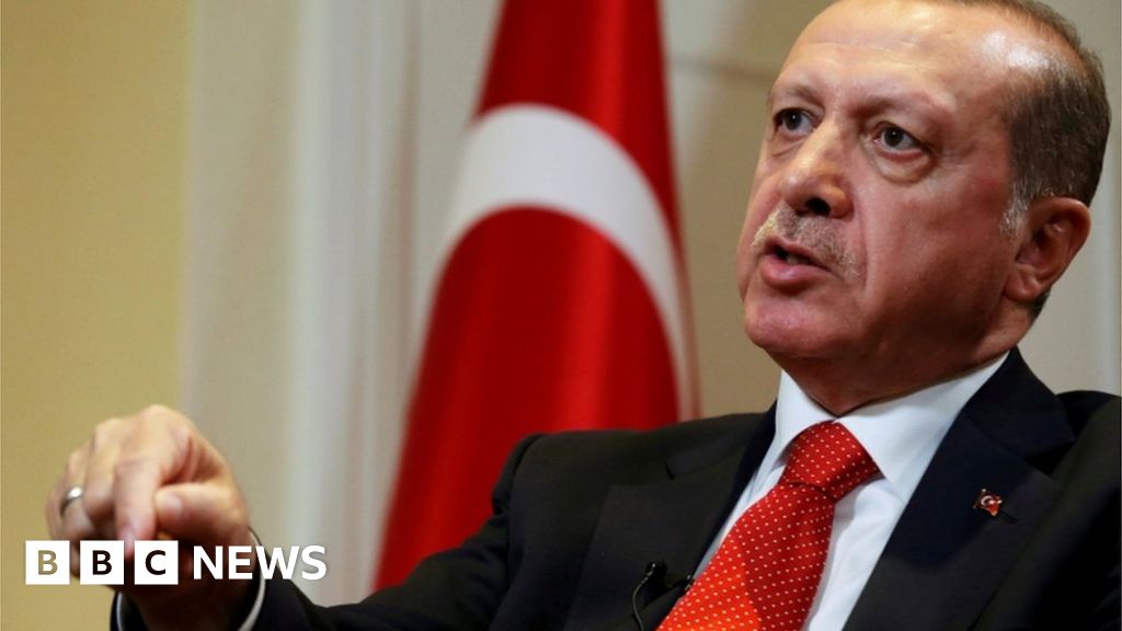 Turkey's President Erdogan wins powerboosting vote BBC News