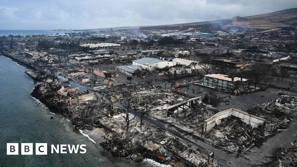 Какво причини горските пожари в Хавай?