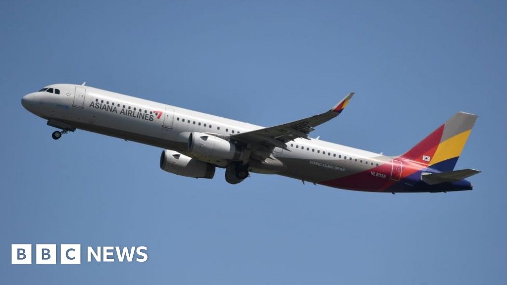 Asiana Airways: Passenger arrested for opening aircraft door throughout South Korea flight