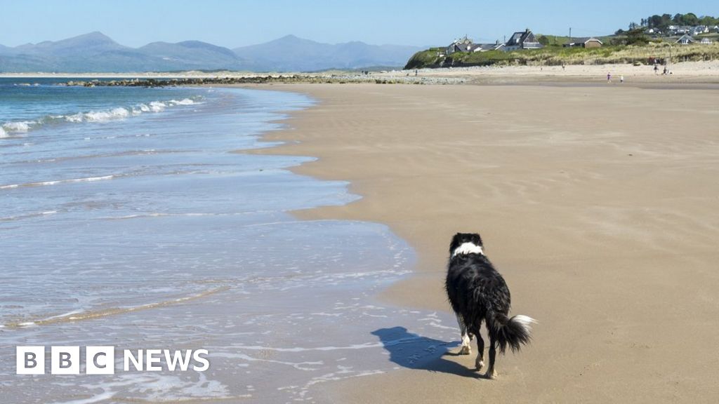 Beautiful Gwynedd beaches fail to entice one job applicant