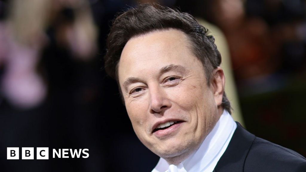 Elon Musk at Twitter: Who could replace him as chief executive?