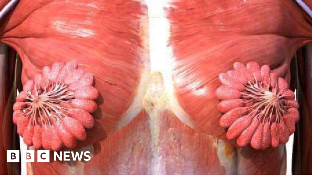 Milk ducts: Image of female breast anatomy goes viral - BBC News