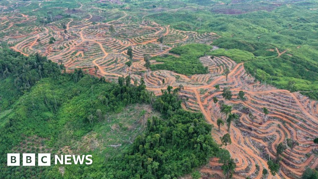 Call to end the 'abuse' of land surface