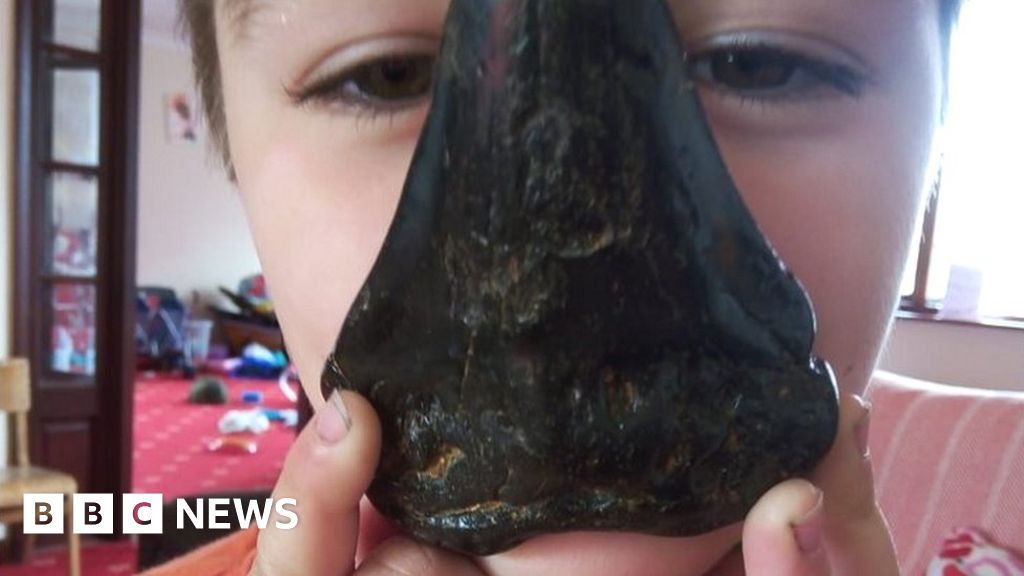 Boy, six, finds giant megalodon shark tooth on Bawdsey beach