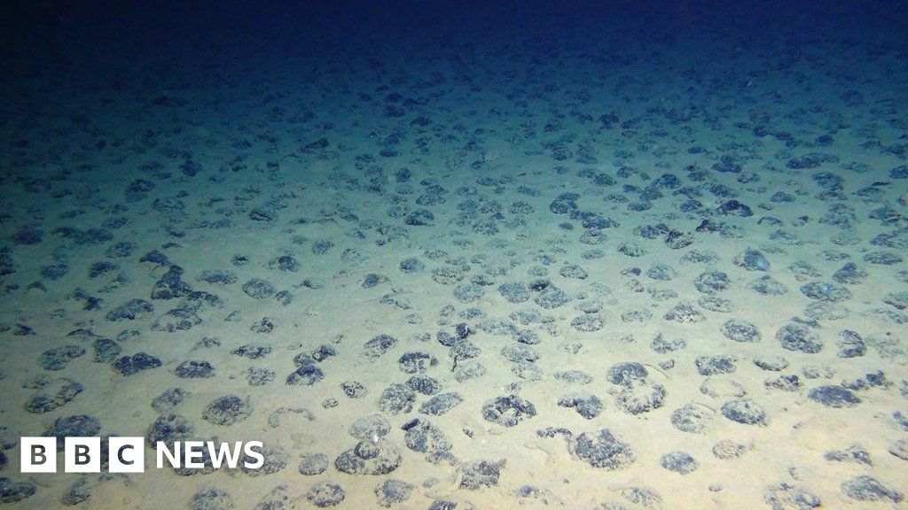 High-seas drama over an ocean treasure trove