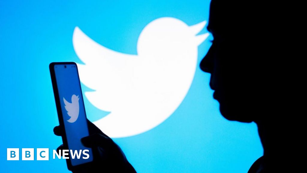 Twitter adds 30 million new users in run up to Musk sale
