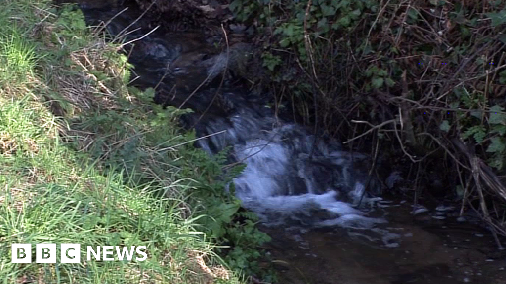 Jersey water pollution leads to drop in supply BBC News