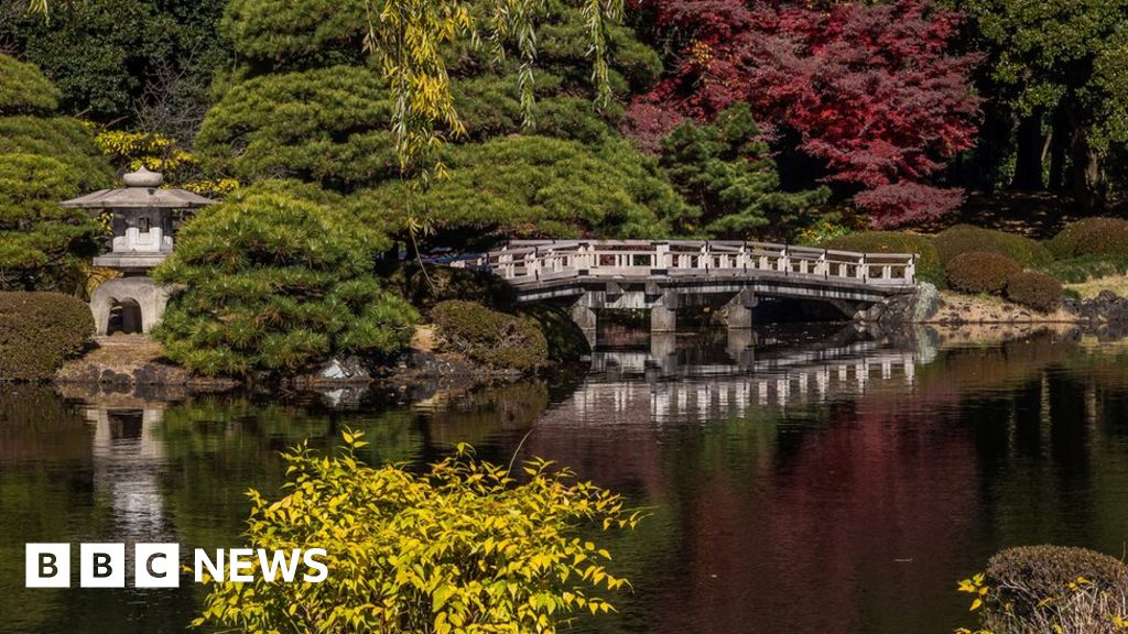 Tokyo Ticket Seller S Foreigner Fear Costs Garden Thousands Bbc News