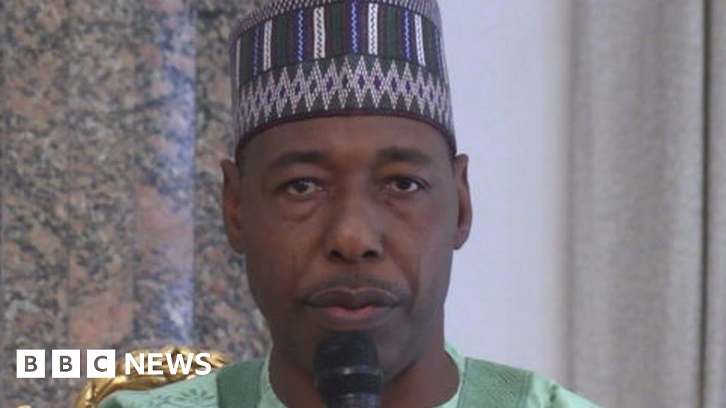 Nigeria's Boko Haram crisis: 'Bomb on donkey' used to ambush Borno governor