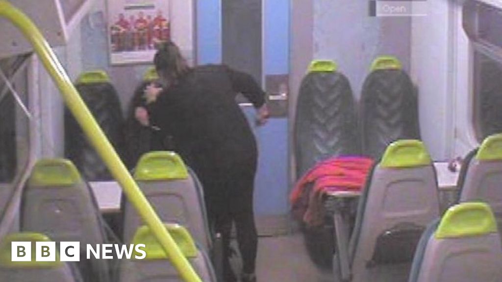 Woman Jailed For Frenzied Murder Bid On Train Bbc News